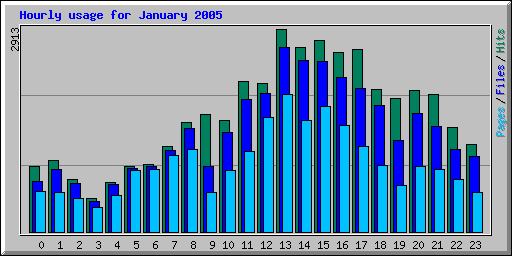 Hourly usage for January 2005