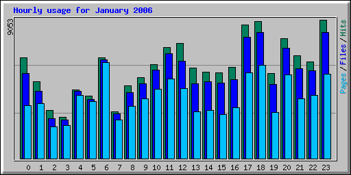 Hourly usage for January 2006